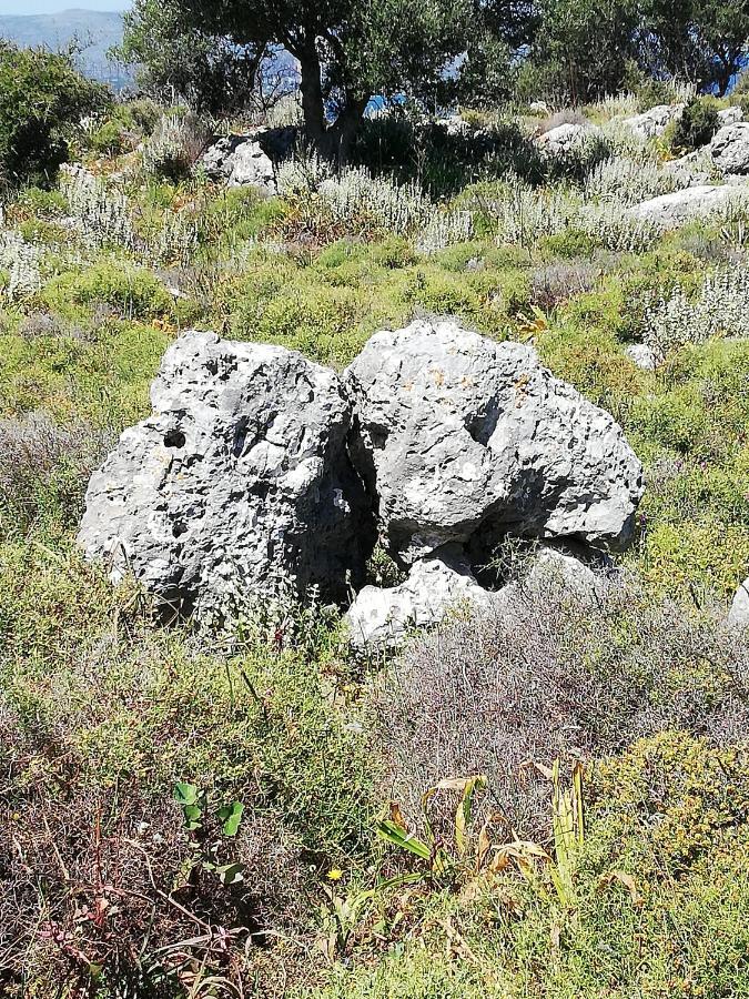 Villa Phenωmena Apartments Kokkino Chorio 外观 照片