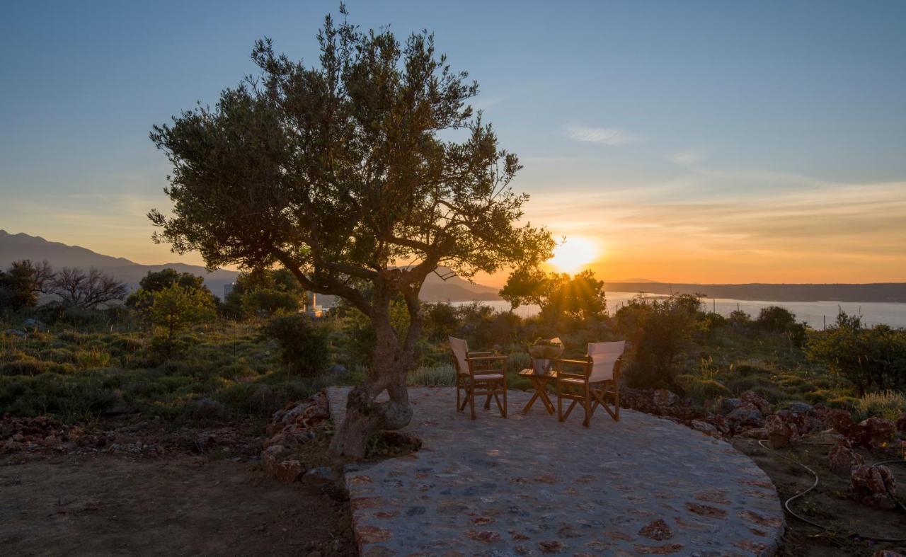 Villa Phenωmena Apartments Kokkino Chorio 外观 照片