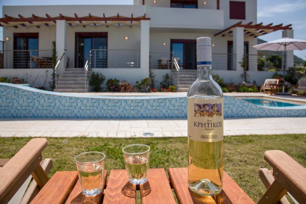 Villa Phenωmena Apartments Kokkino Chorio 外观 照片